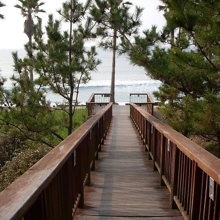 Sunny Day Jeju Villa Seogwipo Luaran gambar