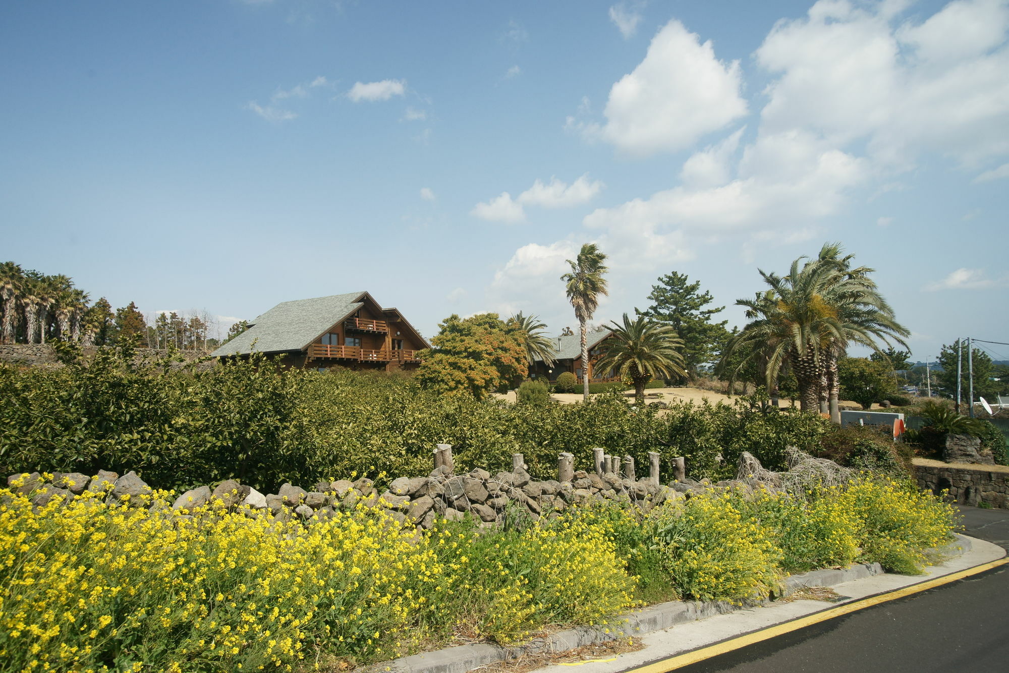 Sunny Day Jeju Villa Seogwipo Luaran gambar