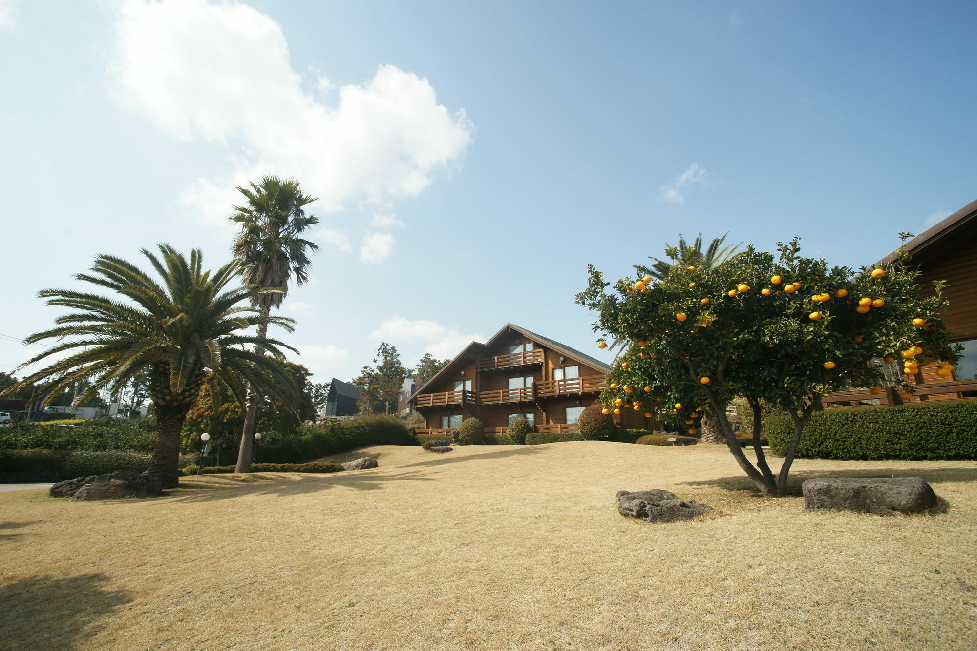 Sunny Day Jeju Villa Seogwipo Luaran gambar